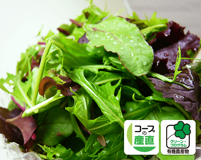 小さくても栄養たっぷり グリーン・プログラム ベビーリーフミックス シャキシャキと甘みがあっておいしい!生で食べるものだから有機栽培なのも嬉しいです♪(のんちゃん)