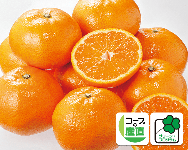 甘いだけじゃない!味の濃さが自慢です グリーン・プログラム シトラス21のみかん ジューシーで甘い、とてもおいしいみかんでした(^o^)いつもは皮を気にしてあまり食べない子どもがたくさん食べるほど薄皮で気にならないです♪(はーちゃんさん)