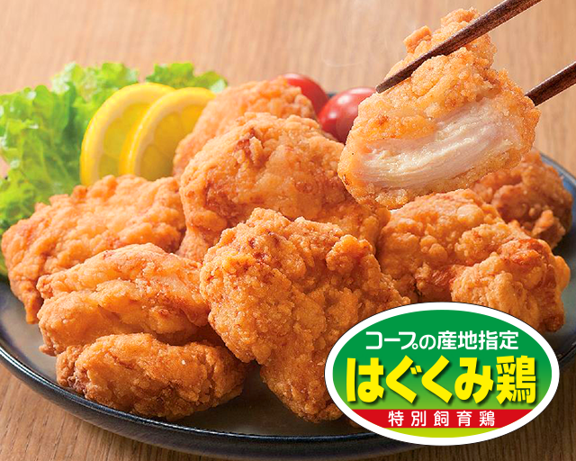 むね肉とは思えないやわらかさ! CO・OPはぐくみ鶏で作ったやわらか若鶏塩から揚げ 塩かげんがとてもよく、さっぱりしているのにジューシーでおいしい。 (とれたてトマトくん)