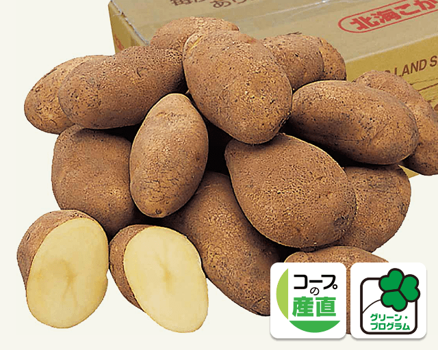 そのおいしさに、ファンレターが続々! グリーン・プログラム 加納農場のじゃがいも 北海こがね 60年の人生で一番おいしいと感じたじゃがいもです。(無類のじゃがいも好きさん)