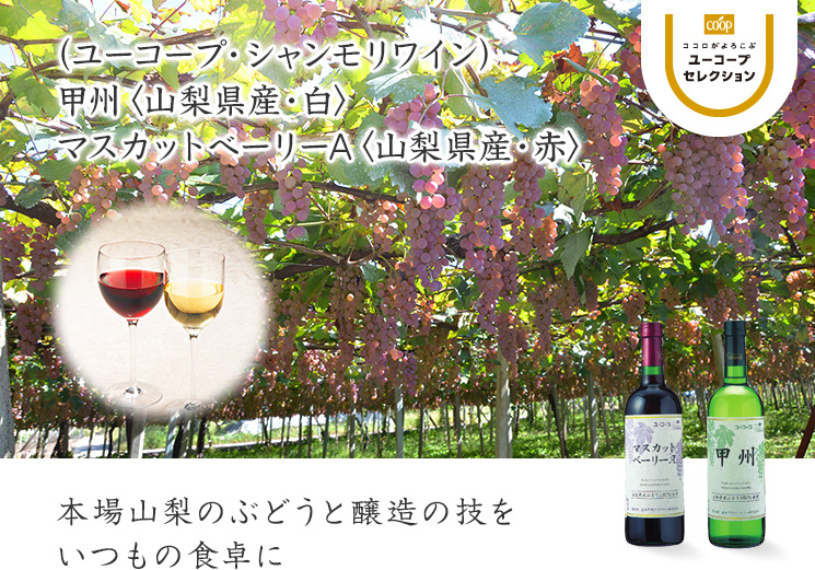本場山梨のぶどうと醸造の技をいつもの食卓に 甲州〈山梨県産・白〉／マスカットベーリーA〈山梨県産・赤〉 