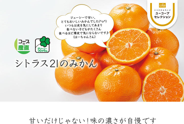 甘いだけじゃない!味の濃さが自慢です グリーン・プログラム シトラス21のみかん ジューシーで甘い、とてもおいしいみかんでした(^o^)いつもは皮を気にしてあまり食べない子どもがたくさん食べるほど薄皮で気にならないです♪(はーちゃんさん)