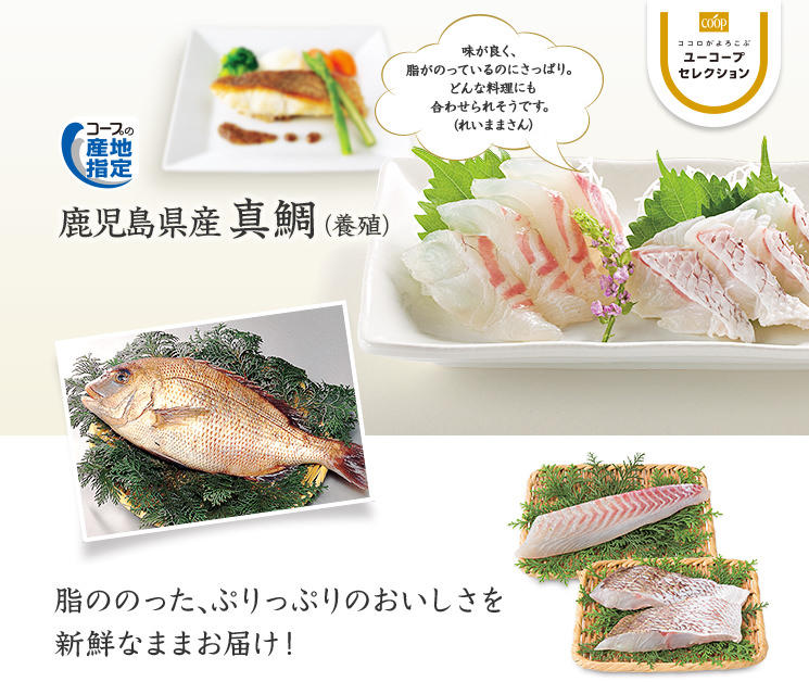脂ののった、ぷりっぷりのおいしさを新鮮なままお届け! コープの産地指定 鹿児島県産 真鯛 味が良く、脂がのっているのにさっぱり。どんな料理にも合わせられそうです。(れいままさん)