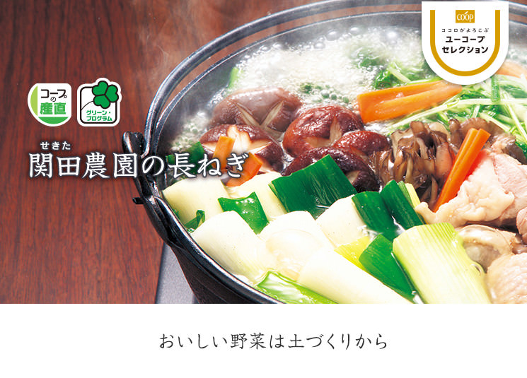 おいしい野菜は土づくりから グリーン・プログラム 関田農園の長ねぎ