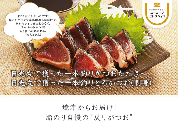 焼津からお届け!脂のり自慢の“戻りがつお” 日光丸で獲った一本釣り かつおたたき・とろかつお(刺身) すごくおいしかったです!届いたパックを流水解凍しただけで、色がキレイで臭みもなくて、スーパーのかつおはもう食べられません。(ゆちゅさん)