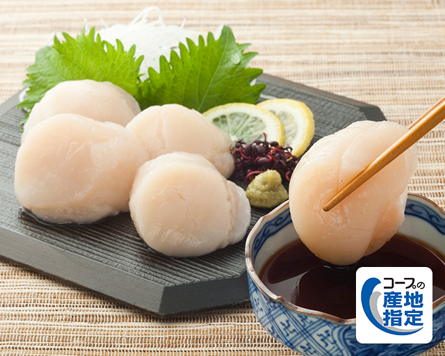 栄養豊かなオホーツクの海の底で育つ、 甘みたっぷりのホタテ オホーツク海産刺身用ホタテ貝柱 大粒で贅沢!そしておいしい。森林保存もしていると聞きました。応援します!(nutsさん)